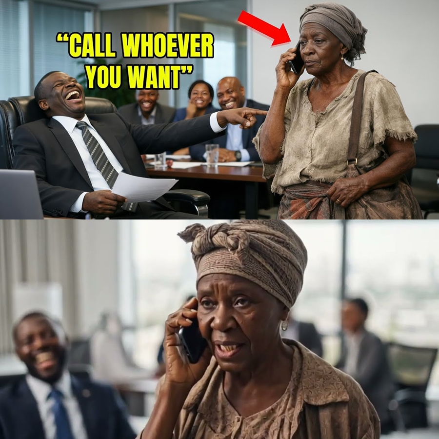 A Millionaire Laughed at an Old Woman in a Boardroom—Then She Made One Phone Call and His Face Turned White