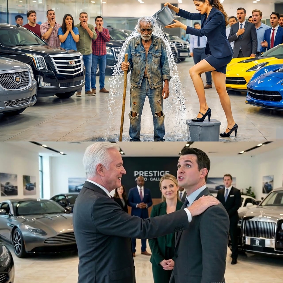 An Old Man in Khakis Walked Into a Luxury Car Dealership—The Sales Staff Laughed Until He Handed Over an Envelope