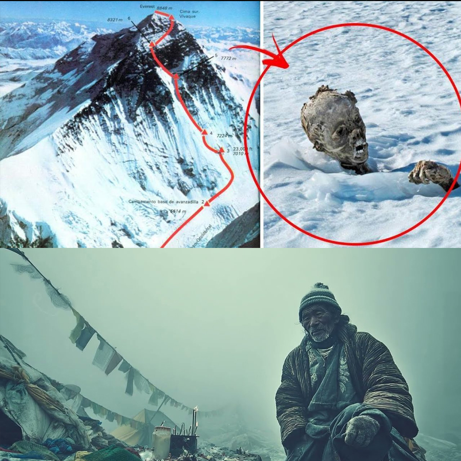 The Mountain Is Melting And The Bodies Are Climbing Down